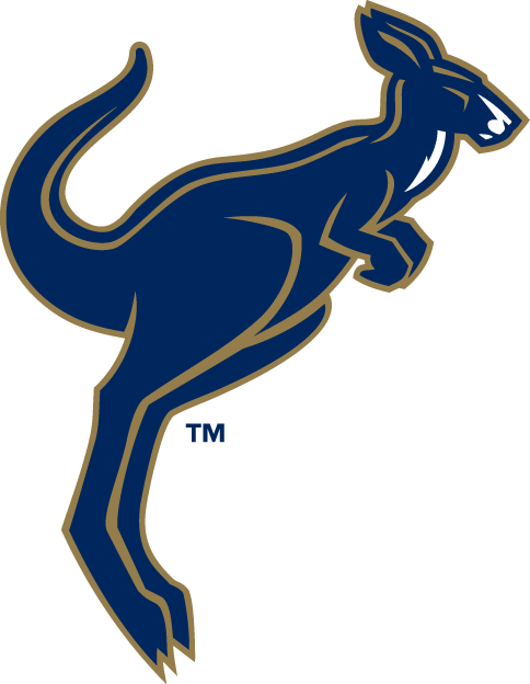 Akron Zips 2002-Pres Alternate Logo diy iron on heat transfer